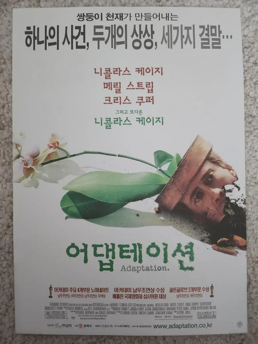 영화팜플렛 영화전단지 어댑테이션